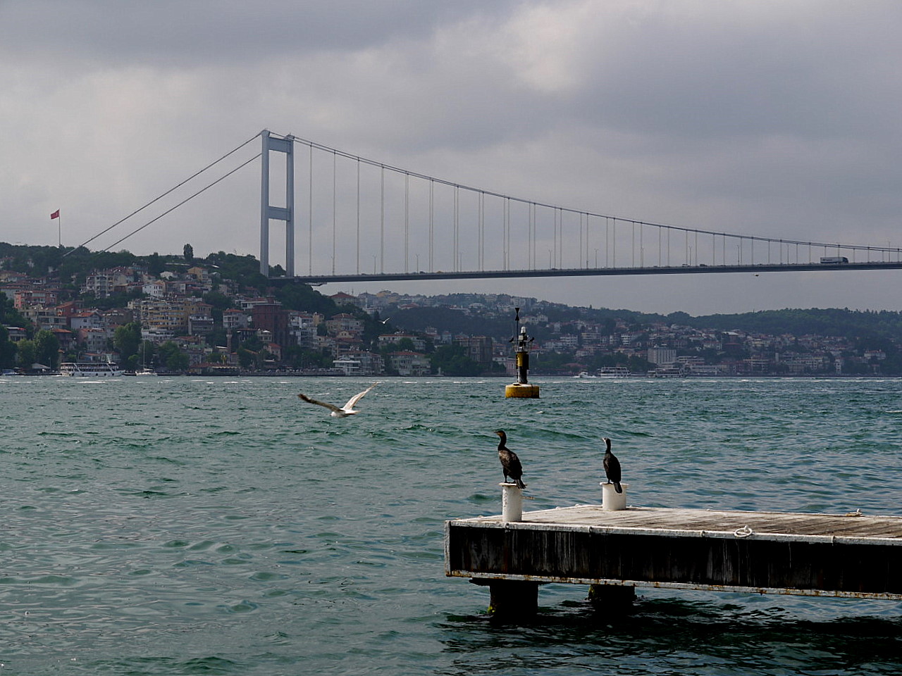The Bosphorus